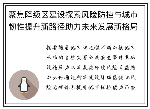 聚焦降级区建设探索风险防控与城市韧性提升新路径助力未来发展新格局 聚焦降级区建设探索风险防控与城市韧性提升新路径助力未来发展新格局